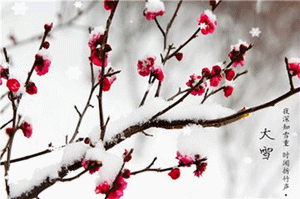 散文《大雪》 作者:唐增虎(山东)（图7）