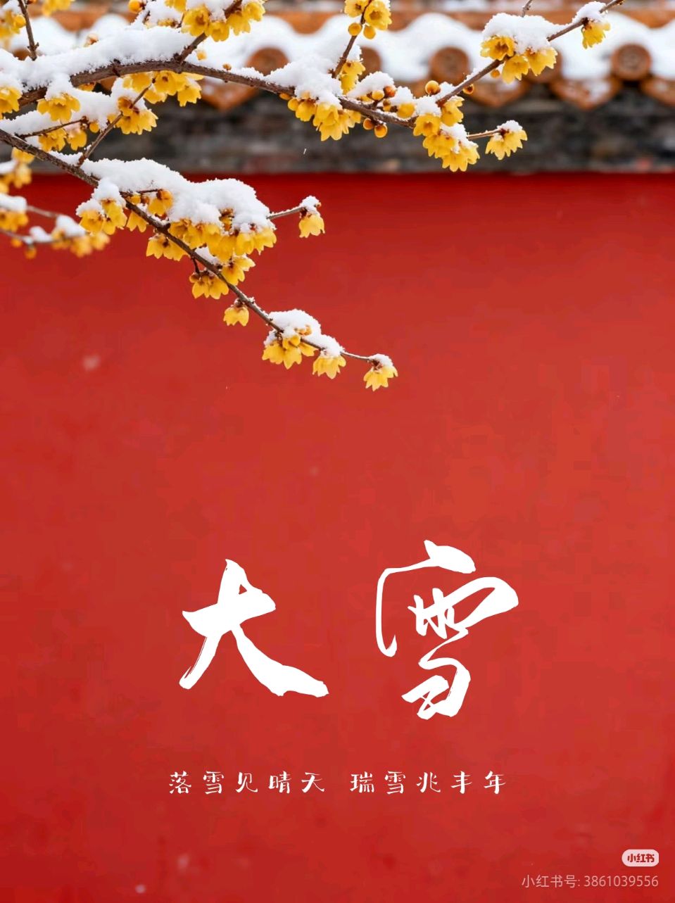 散文《大雪》 作者:唐增虎(山东)（图9）