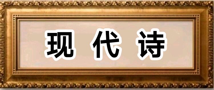 【现代诗】王俊杰:散步/中华诗艺社黑龙江分社【2025第290期】（图2）