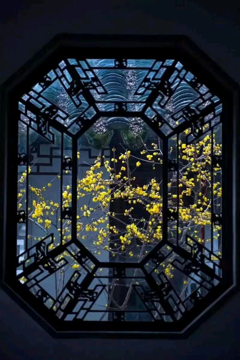 乡愁篇(二十七)，被嫁接了的小巷（图3）