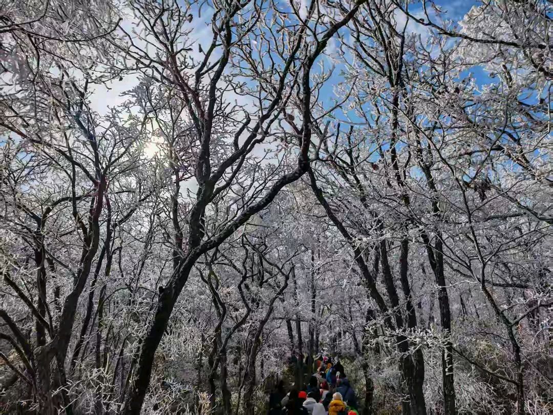 《七律·疏林似鹤向青冥》作者：吕绍秋 [中国现代诗歌文化传媒推荐]（图5）