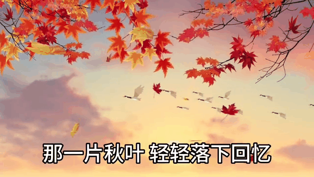 【神都诗社】第143期《落叶》（图17）