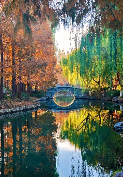 明湖水杉林（图3）