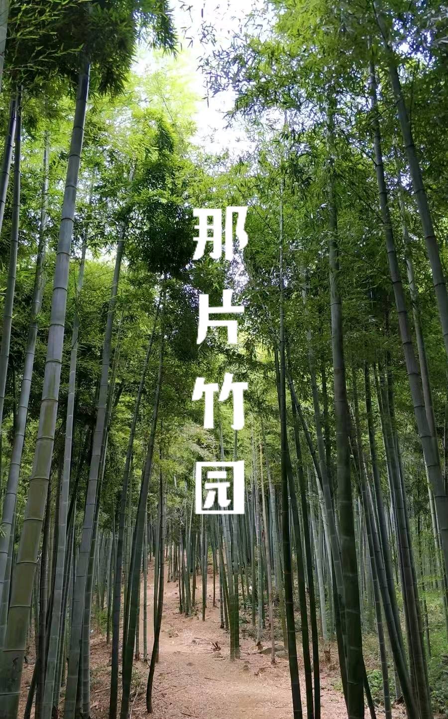 2025年度都市头条井冈山群优秀作者名单及作品展示(图202)