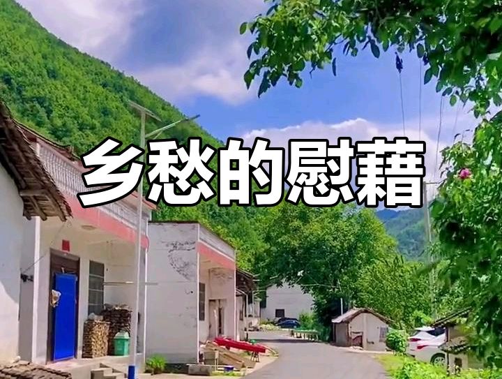 2025年度都市头条井冈山群优秀作者名单及作品展示(图118)
