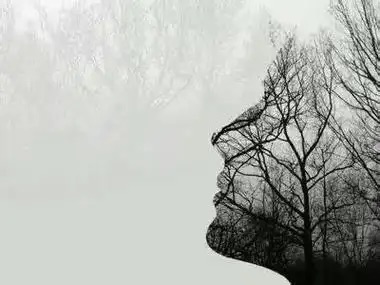 ［巾帼诗人］雨佳诗歌小辑（十首）（图5）