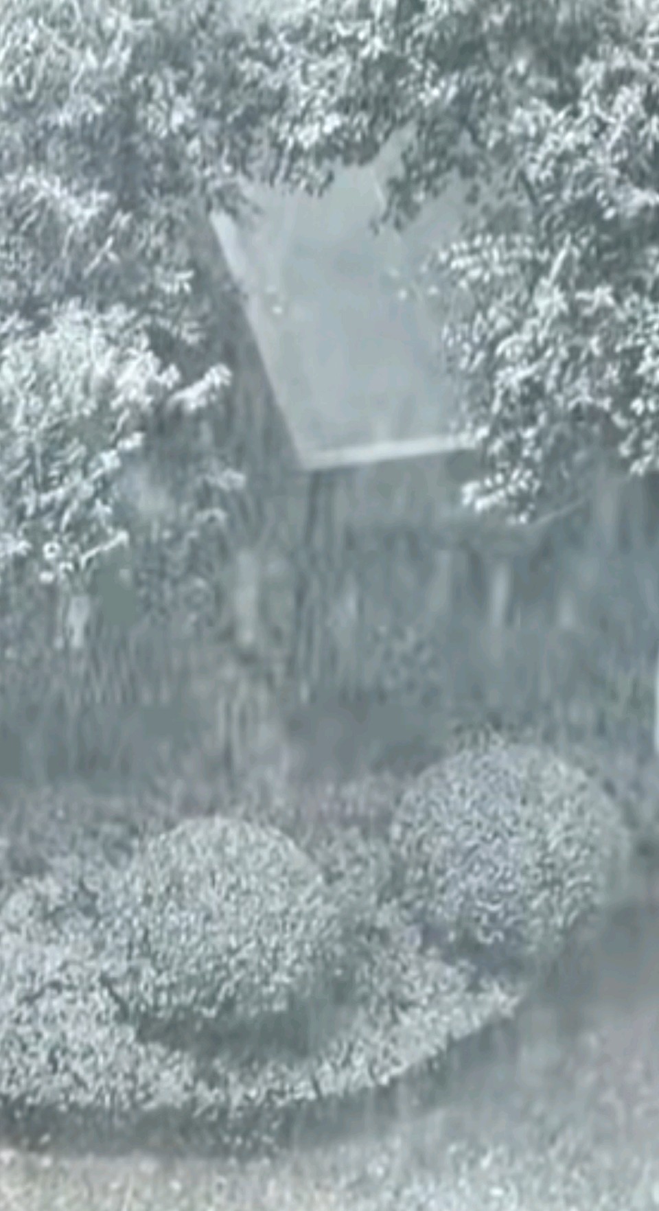 落雪迷人眼❄