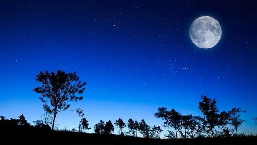 七律·月夜烟景（文/韩满林）……莲叶之珠文学社