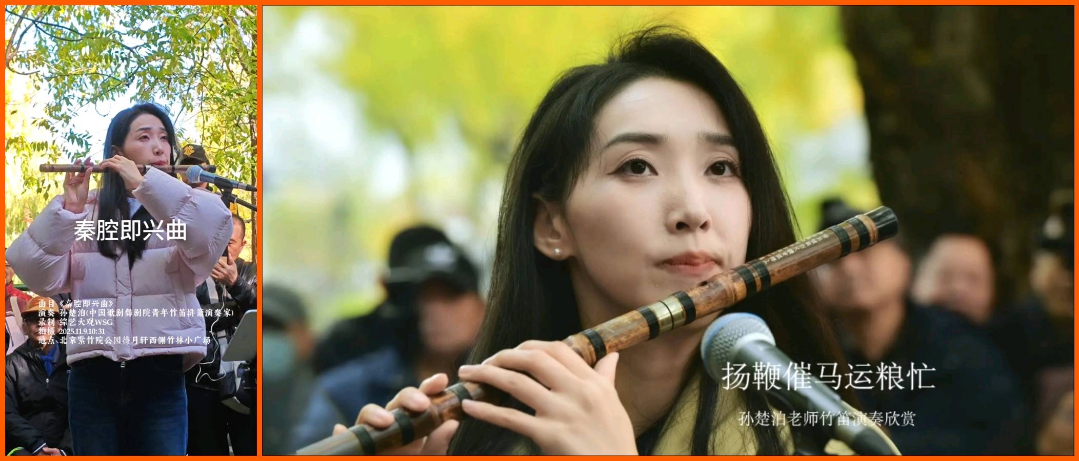 【经典推荐】王世华//题孙楚泊现象[三首欣赏]（图3）