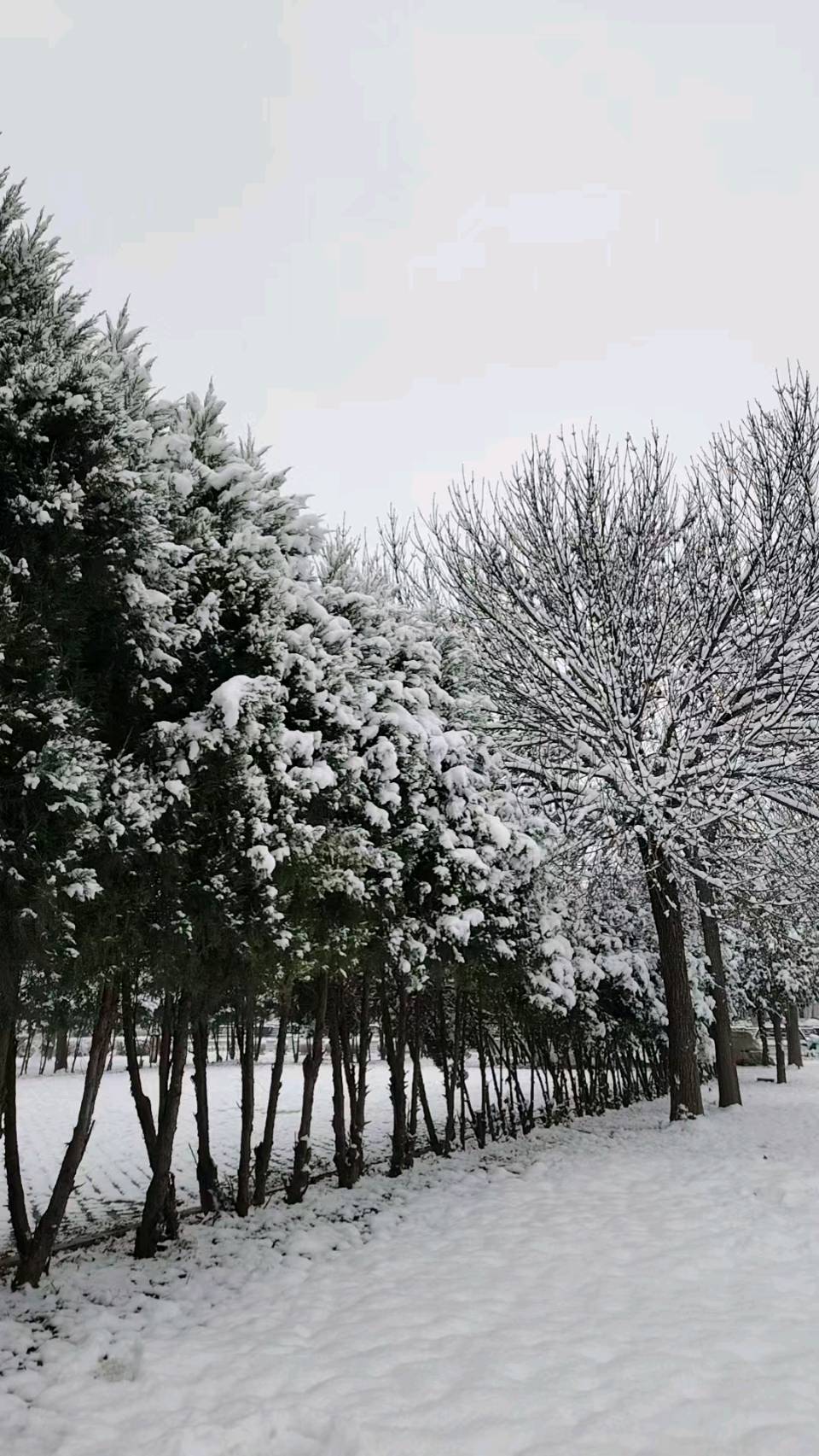 【故道文化·古风·7733】高峰《咏雪》（图3）