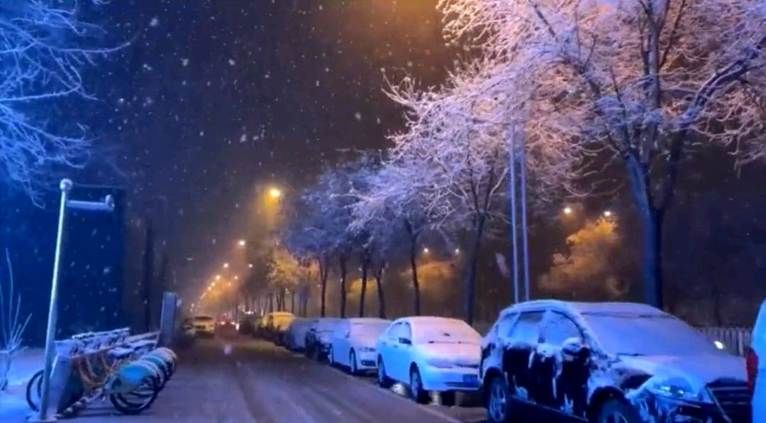 中国五好群原创作品《初雪寄暖》/诗作家：时光若蘭【第八十九期】（图9）