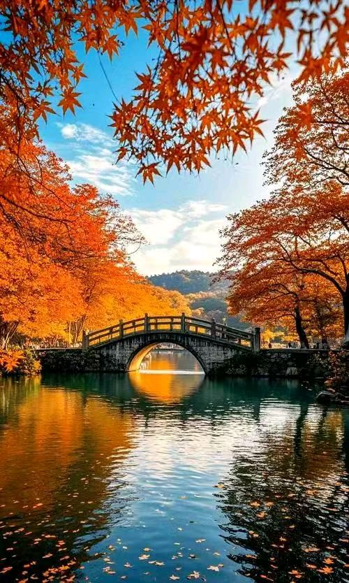 【秋风清】风尘 文/冯斌一鄂（图3）