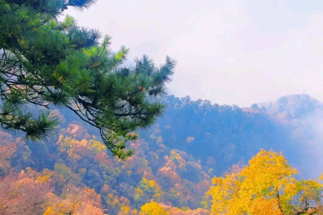 司晓升‖千里马尾归乡记(根据民间口传神话故事编写)(图5)