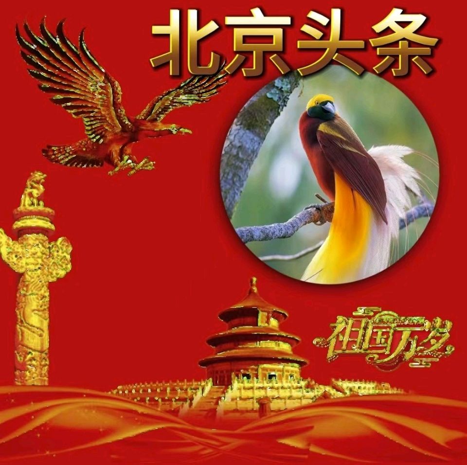 中华红旗国际诗社~北京头条~我是一条河流(现代诗)作者/代强·主播/美美(图2)