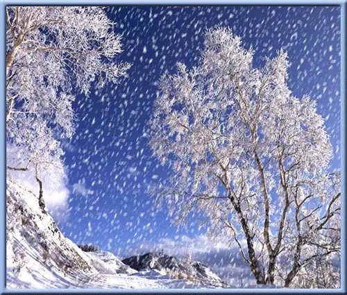 ［河北女诗人］瑞雪兆丰年（小辑）//文/冬雪（图3）