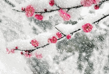 ［河北女诗人］瑞雪兆丰年（小辑）//文/冬雪（图4）