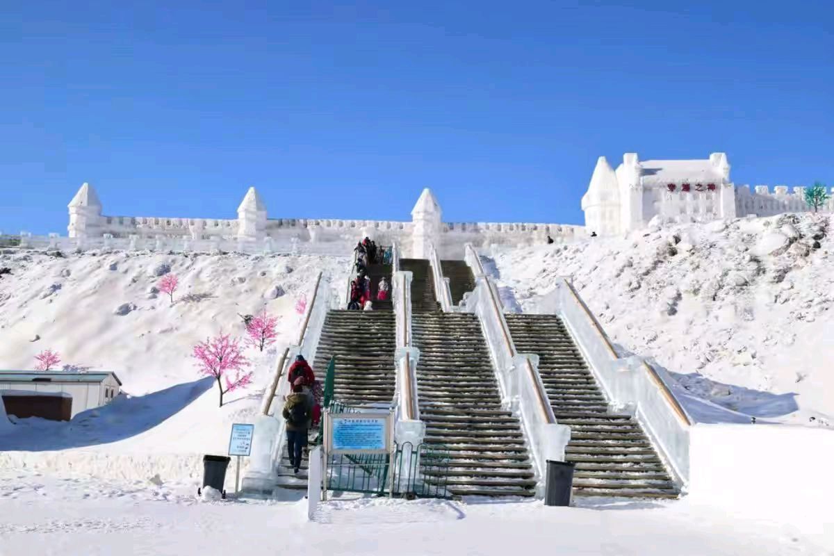 一沁园春·诗与远方二哈尔滨冰雪大世界作者王维宪（吉林）编辑孙秀兰20251216（图30）