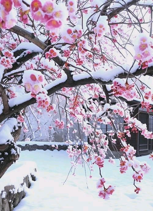李向前(陕西)历年咏雪连载十（图3）