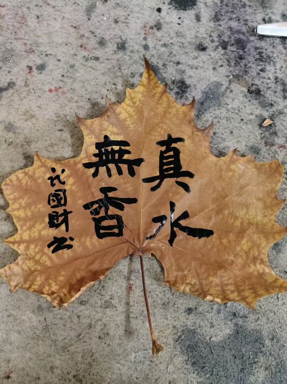 【荣耀中国】深圳分社*第1篇优秀诗人武国财书法作品欣赏（图12）
