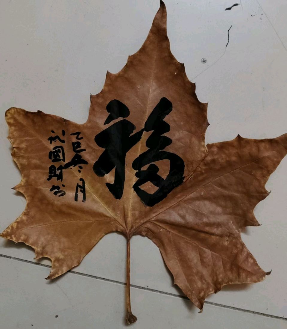 【荣耀中国】深圳分社*第1篇优秀诗人武国财书法作品欣赏（图13）