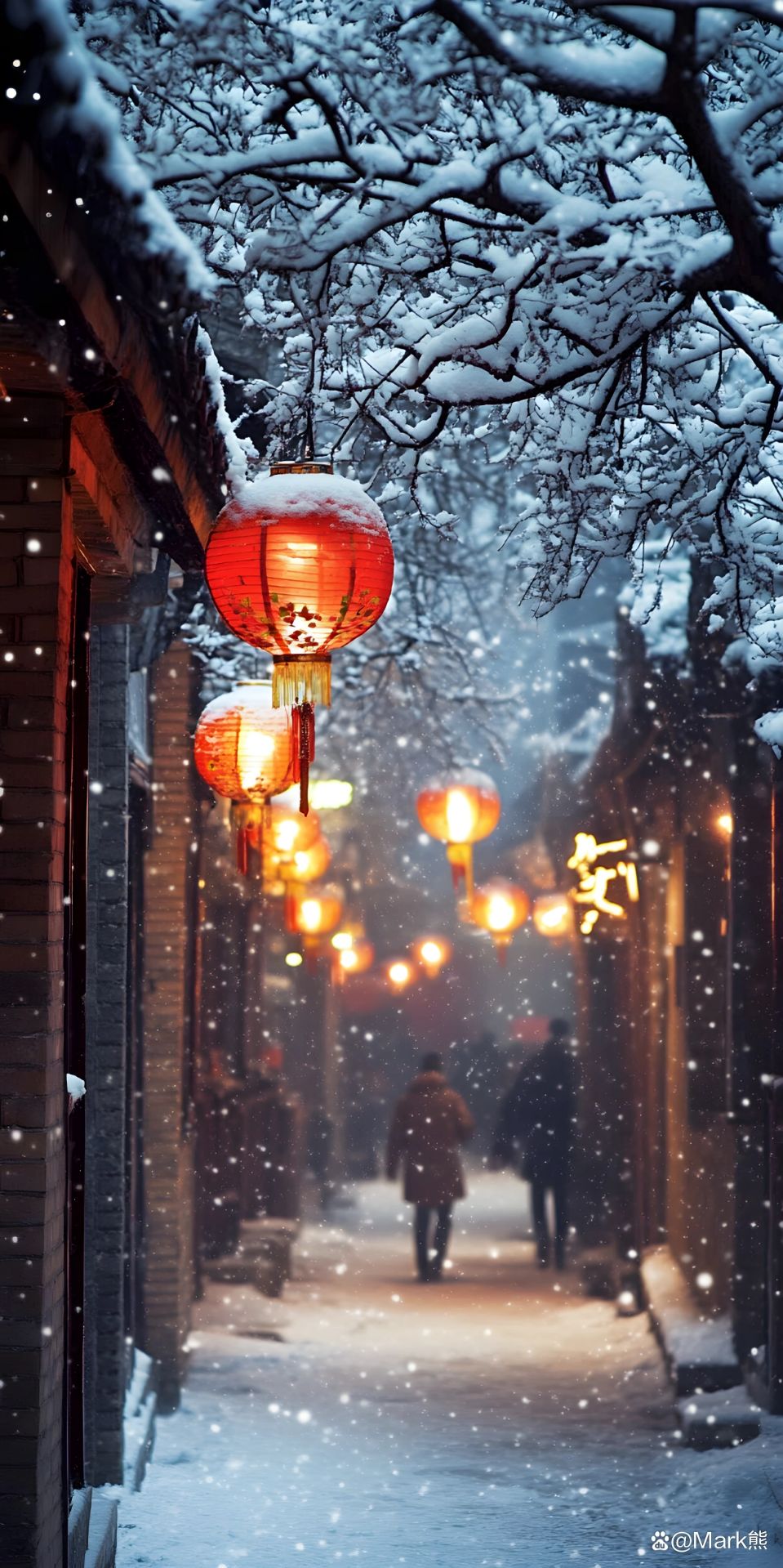 【新山东文学社】《津城夜雪》作者/张君 主播/雨花石(图4)