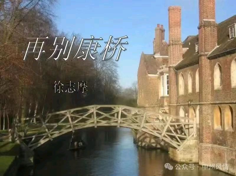 星月篇(二)，失落的那把琴（图3）