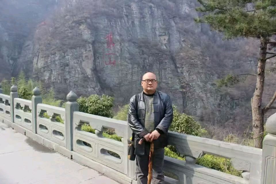 落叶的树