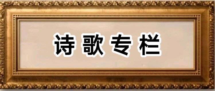 慧:【诗歌】天天乐之歌——致郑敏团长、乐队老师、主持人与全体团员/中华诗艺社黑龙江分社【2025第311期】（图3）