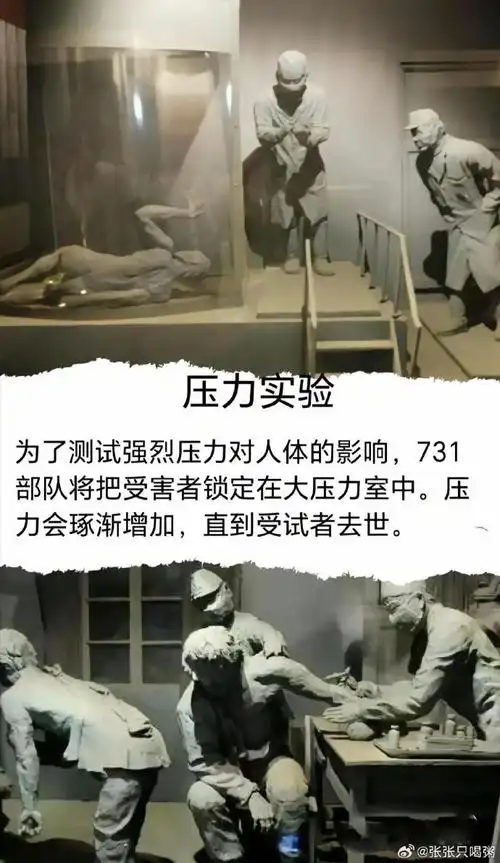聆听 ‖ 紫菱菱朗诵《陈列的灰烬》作者/吴万瑞（图11）