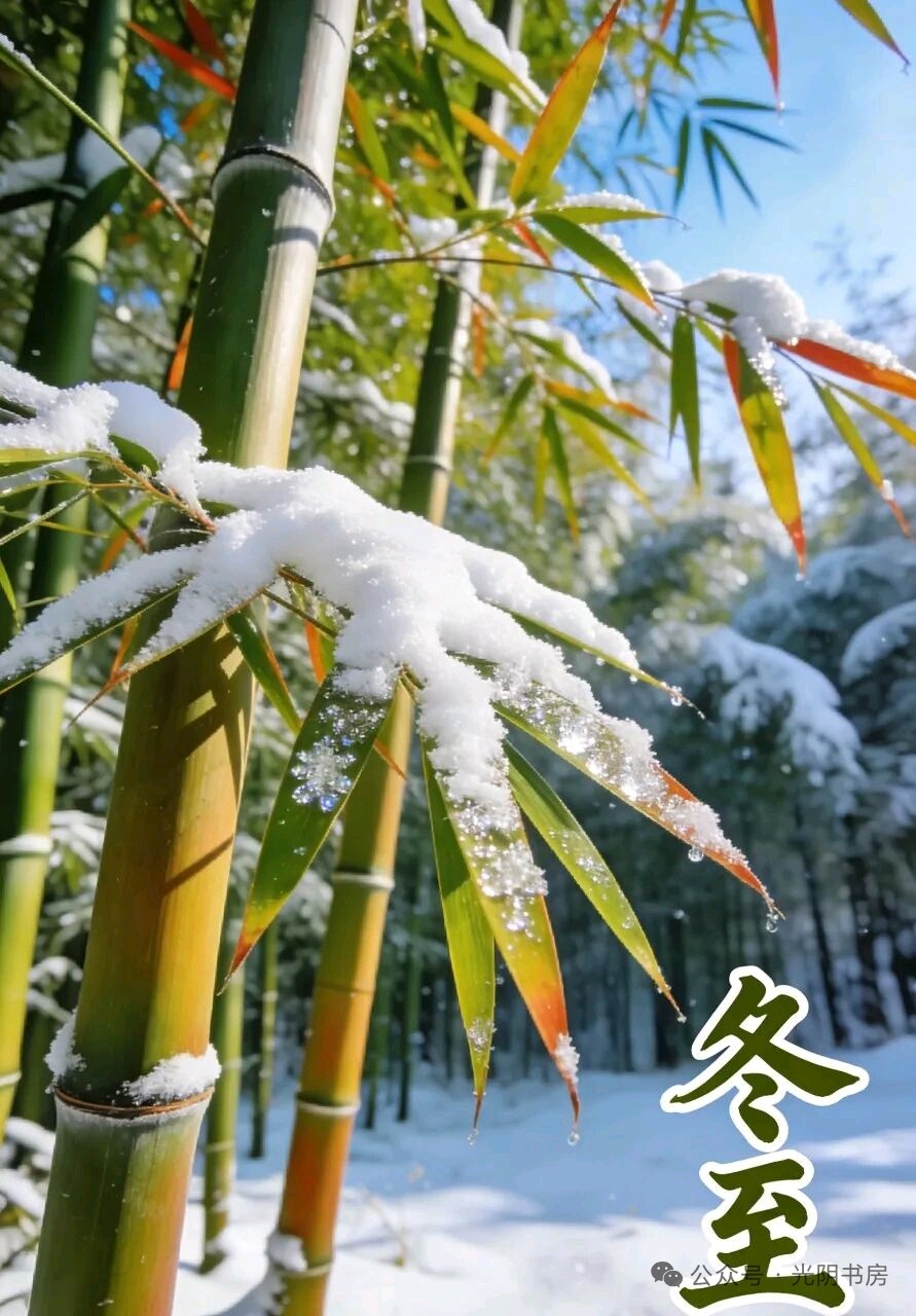 藏头诗:数九寒天冬至到文/王俊杰(天津)（图3）