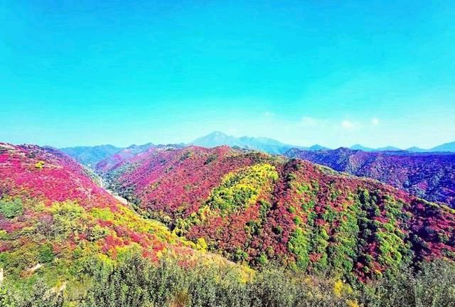 《临江仙·十二月十九日收到庆红同学惠寄灵宝寺河山苹果》文/范剑克——河南诗人