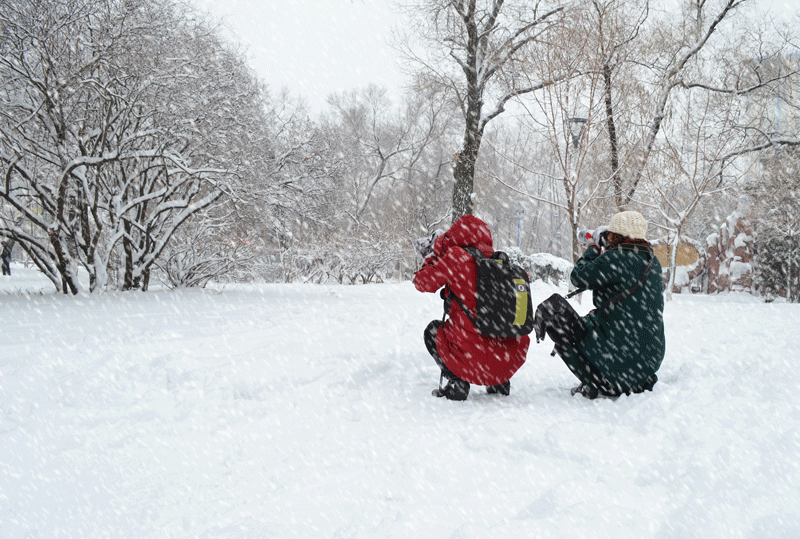七绝.咏雪 组诗 文/李玉桥（图6）