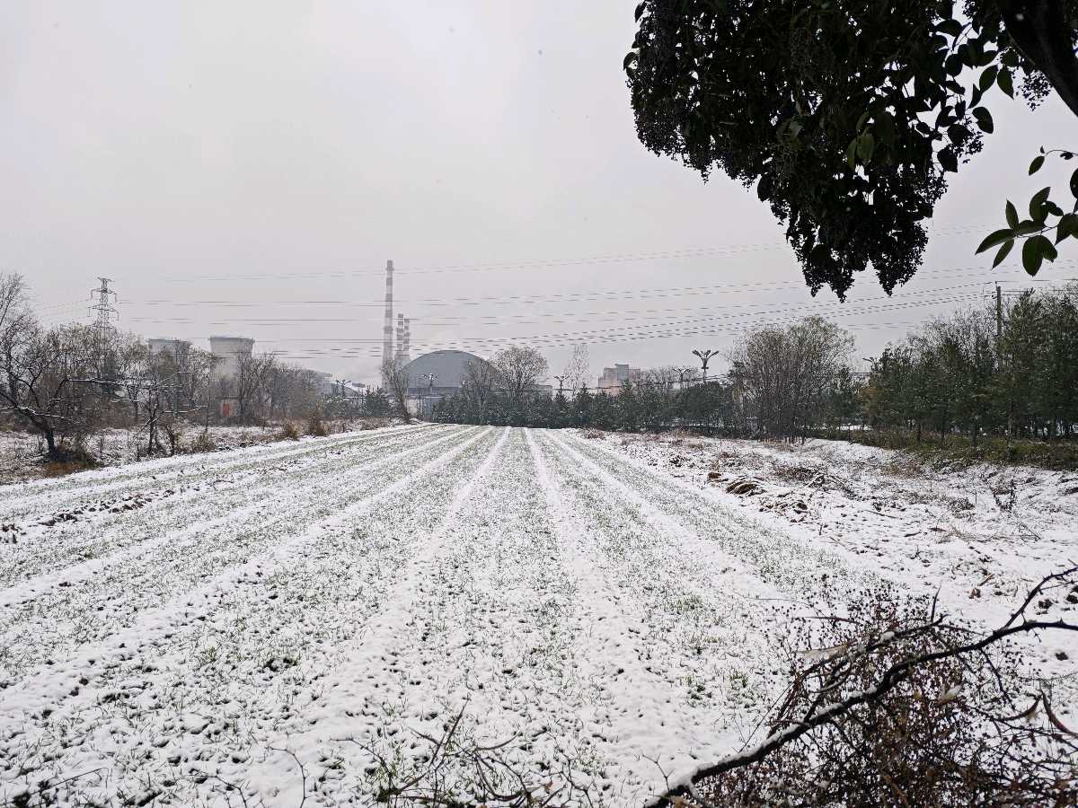 陕西诗人郭丽霞《冬至》（图7）