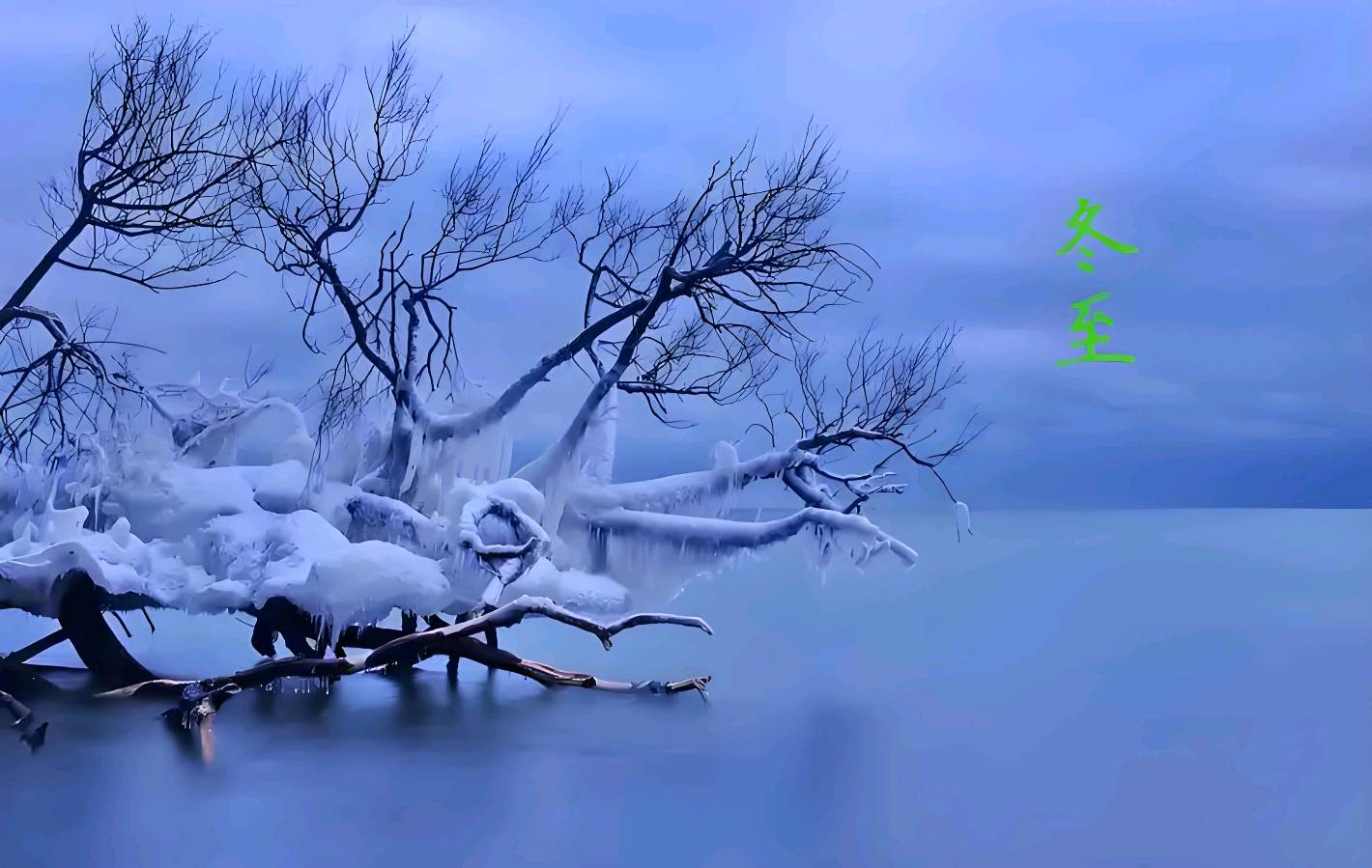欣赏张庆彬老师律诗·冬至逄瑞雪（图3）