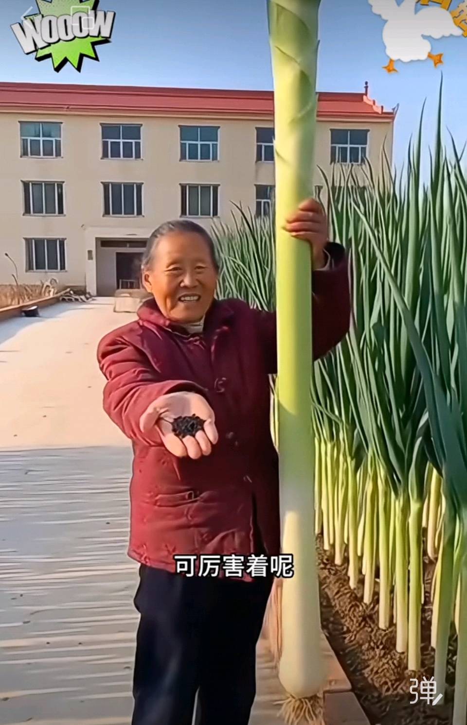 【豆蔻诗社】七言诗（古风）赞山东美食作者/梅楠梓（图4）