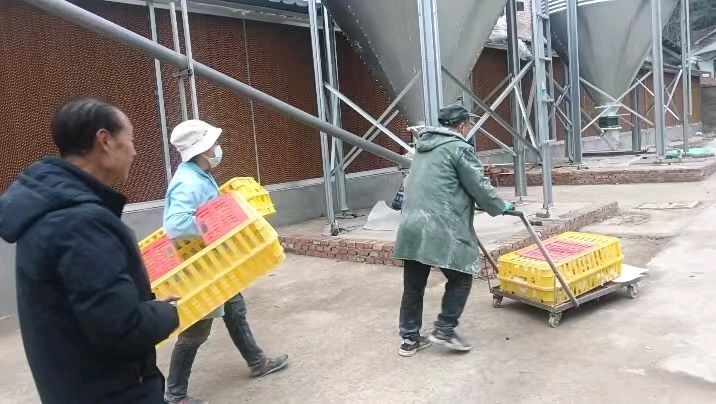 走访百瑞牧业 助力产业振兴（图4）