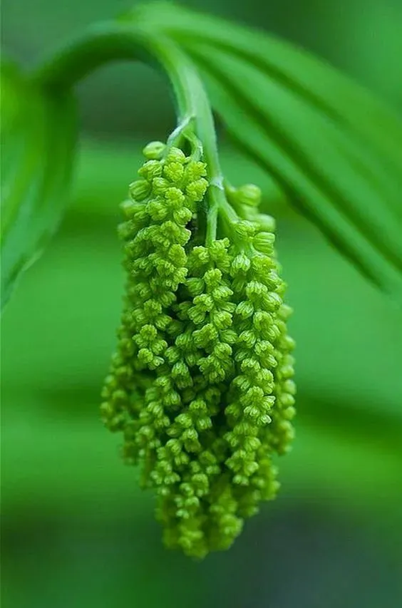 资深药师李广昌的笔墨芳华（图4）
