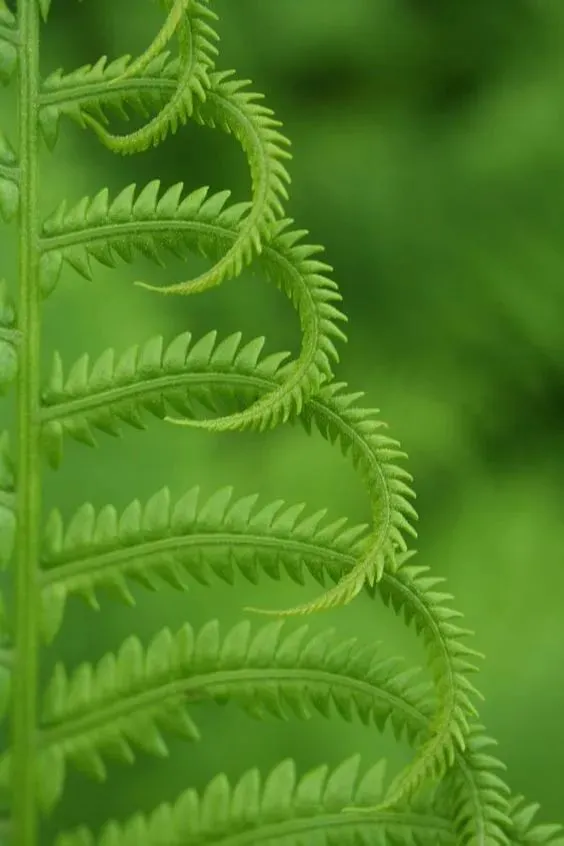 资深药师李广昌的笔墨芳华（图2）