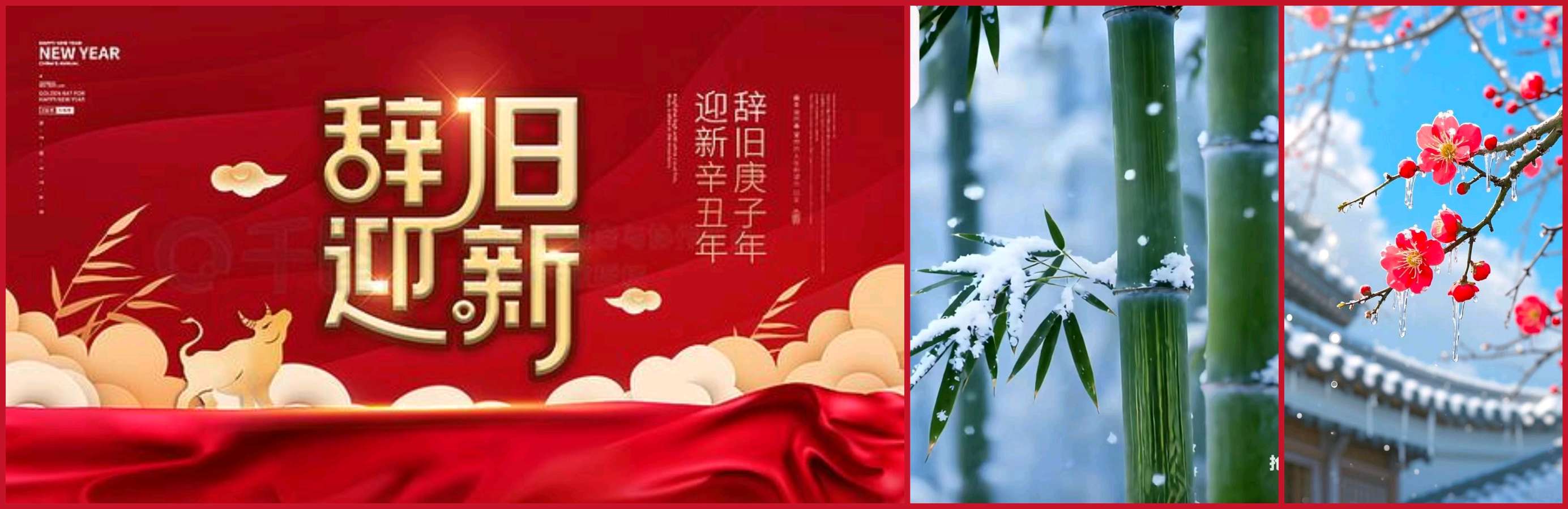 【重磅推出】鲁坡//贺新年//七律•喜迎元旦+纪念毛泽东诞辰132周年“老戎喜新辞旧岁+系列作品展”+五律•岁末感怀[七律•继往开来]（图10）