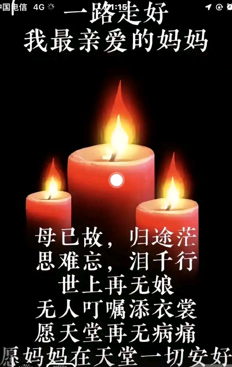 陕西作者王文芳《百岁慈母，一生向阳》（图8）