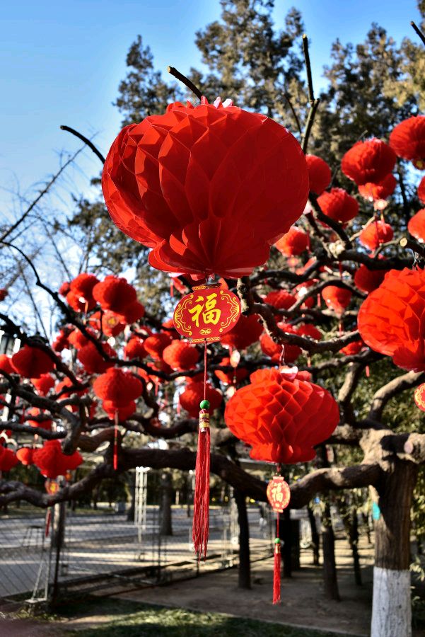 陕西作家孙会芳《日子有光》（图9）