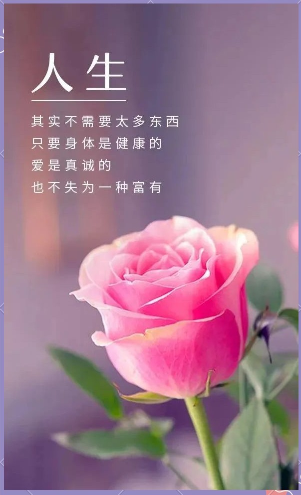 陕西作家孙会芳《日子有光》（图17）