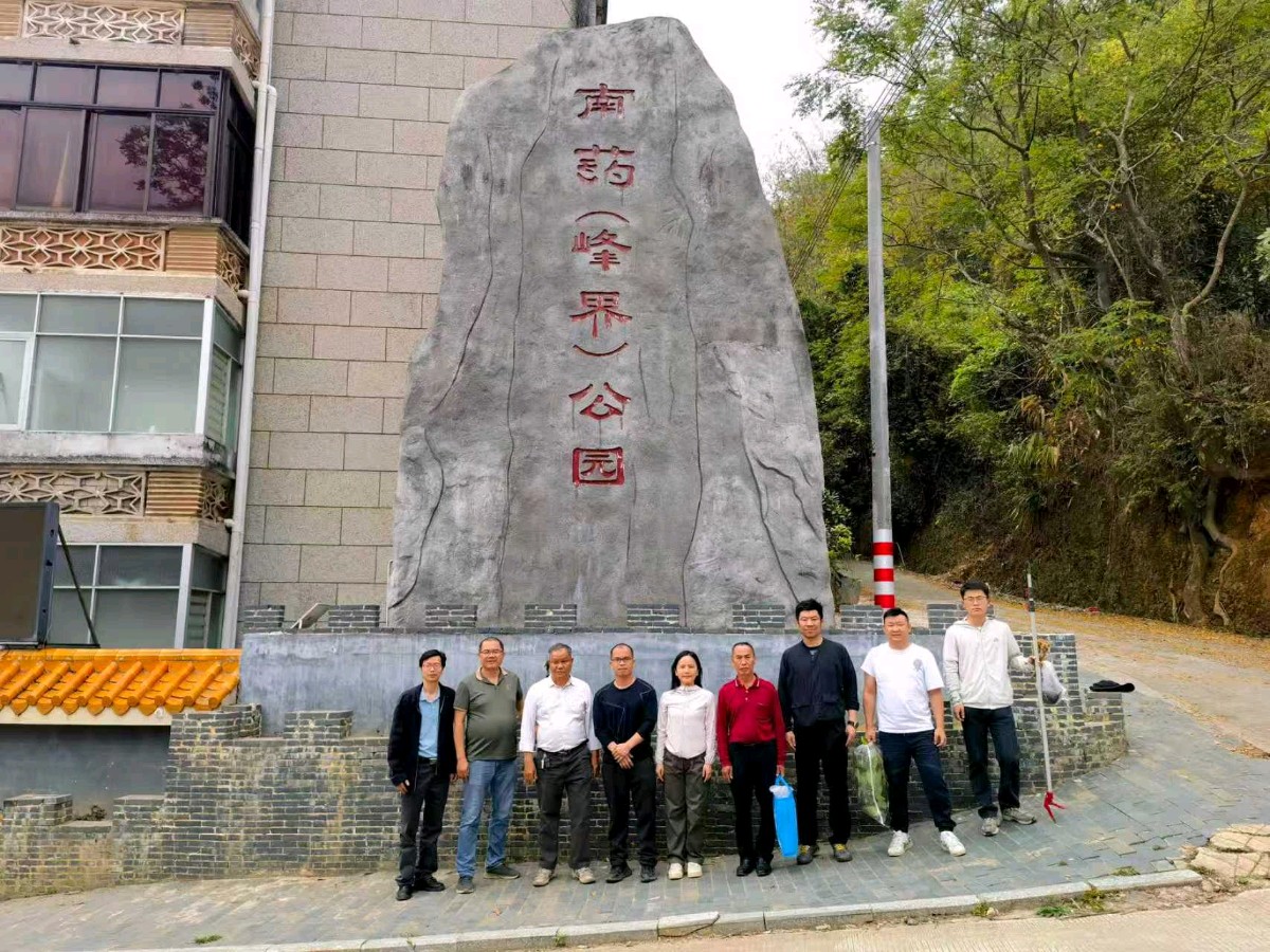 郁南肉桂香飘四海，12万亩“黄金树”年产值超1.6亿元！（图31）
