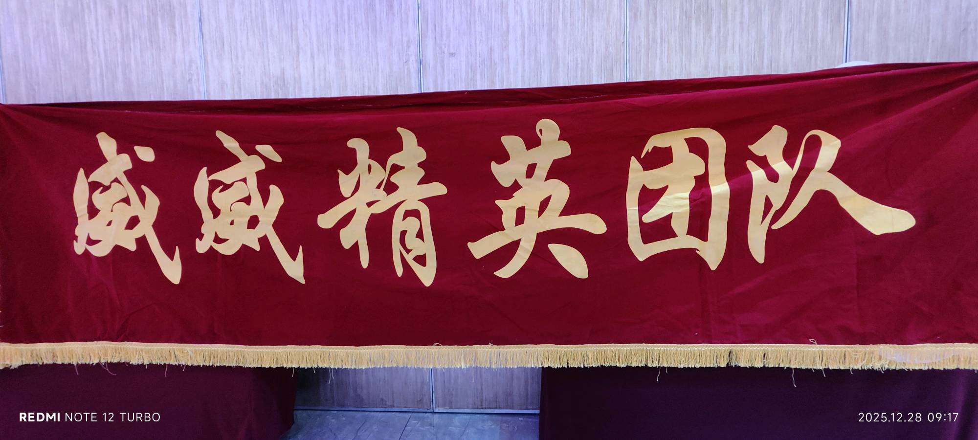 不忘初心 启新未来，威威精英艺术团～龙之威艺术团2025喜迎新年联欢会节目精选【第329期】（图4）