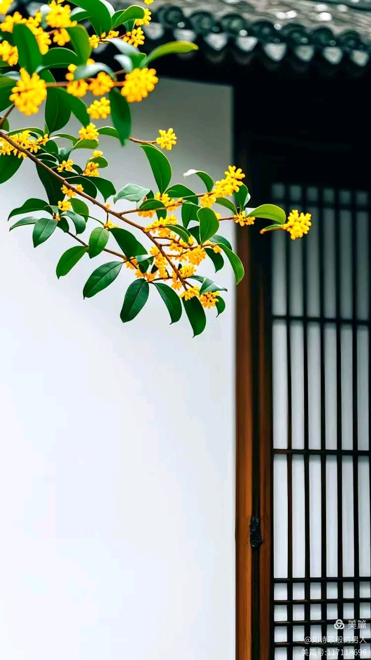 卫水洲的《心地善良，幸运一辈子；大度宽容，快乐一辈子》
