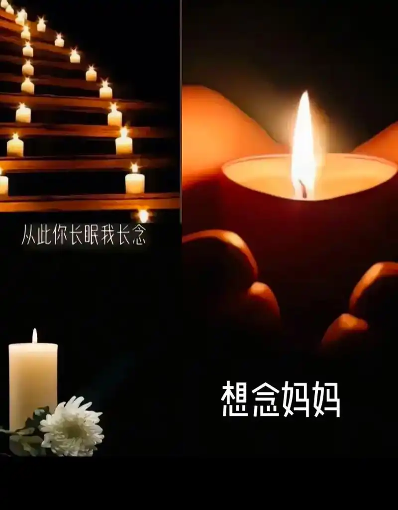 陕西作者颜平德《思念母亲》（图11）