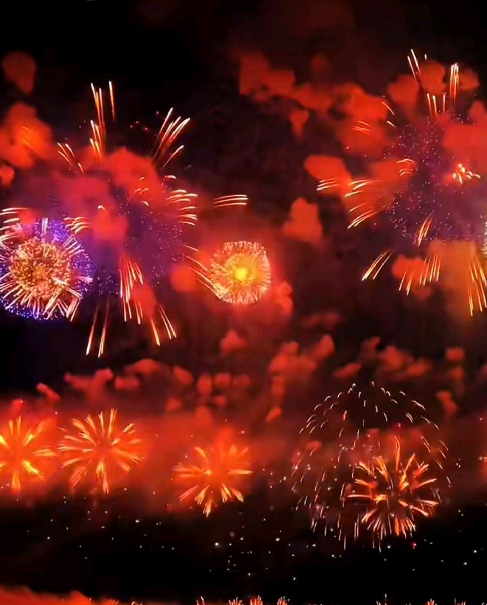 烟火璀璨迎新年 文/蔡凤武（图5）