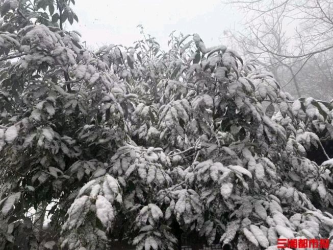 《当代诗人红蝴蝶创作六首当代诗词鉴赏》作者：红蝴蝶 [中国现代诗歌文化传媒推荐]（图4）