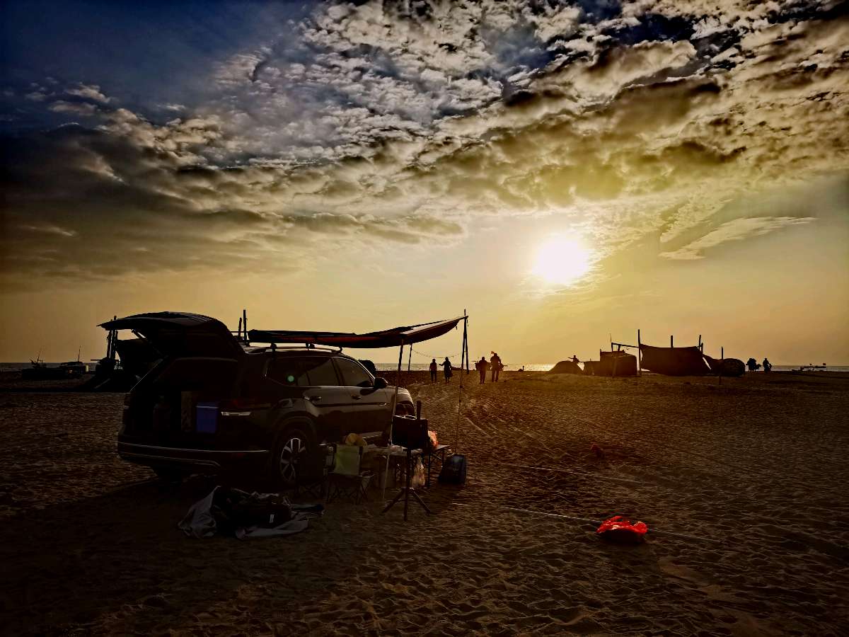 2025年末的夕阳红（图2）