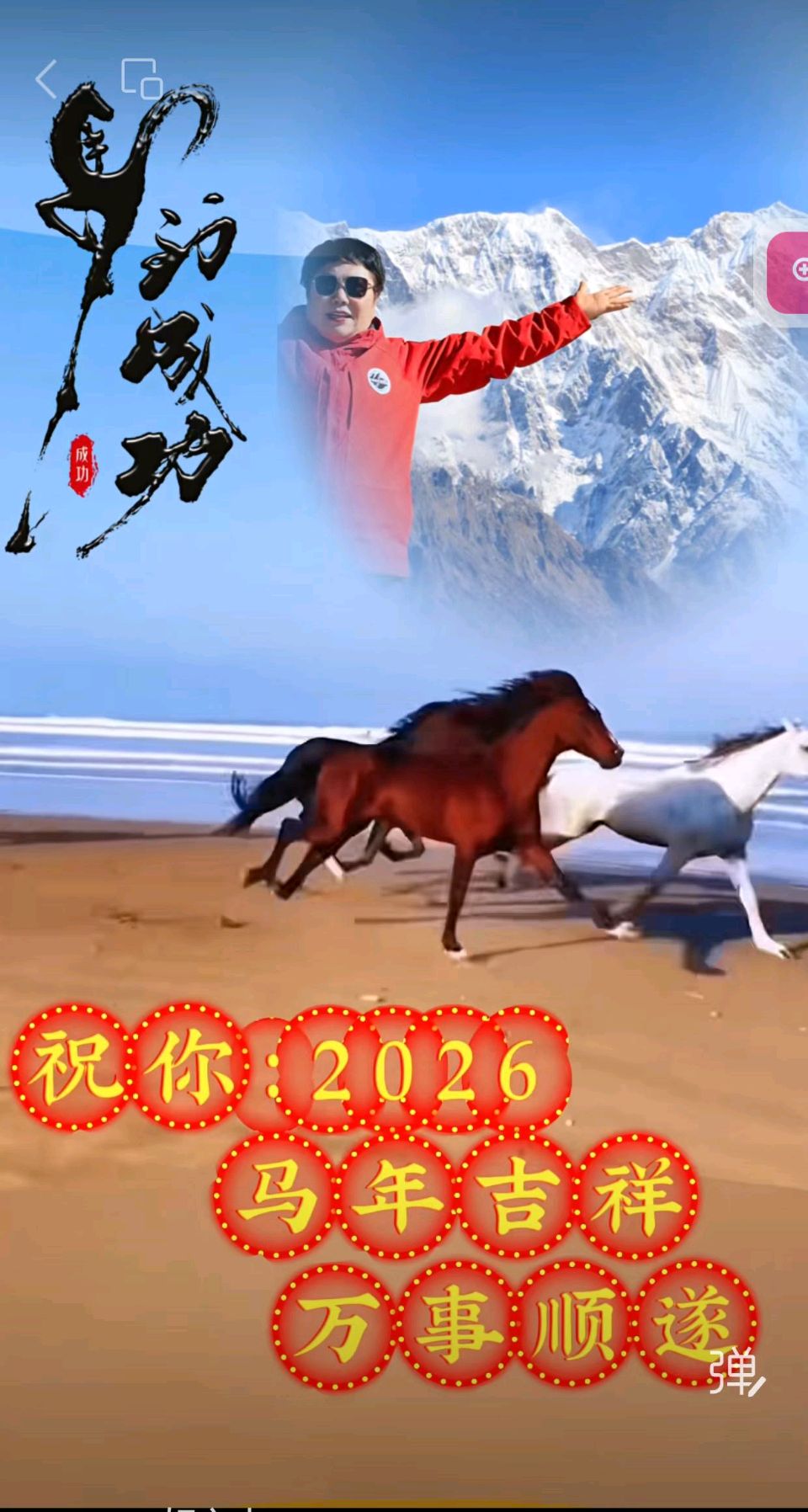 艳阳天（西河柳）//元旦祝福（图3）